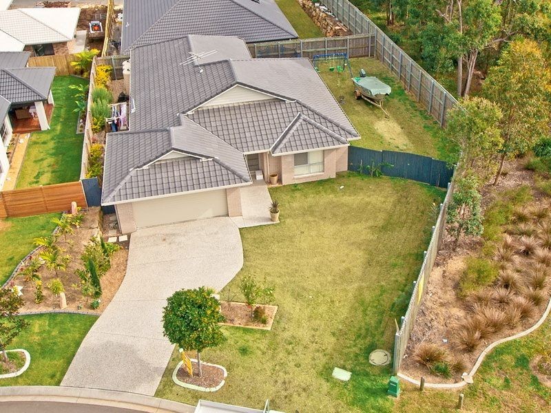 16 Amalia Street, Birkdale QLD 4159