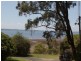 20 Jellicoe Street, Wellington Point QLD 4160