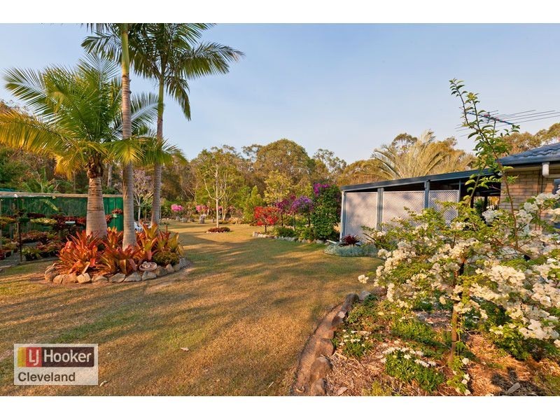 5 Timbertop Court, Capalaba QLD 4157