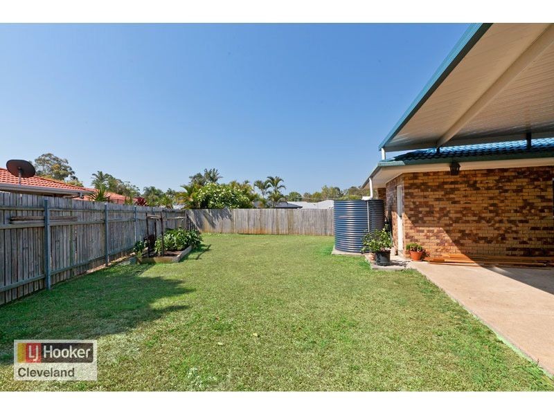 3 Curtis Court, Cleveland QLD 4163