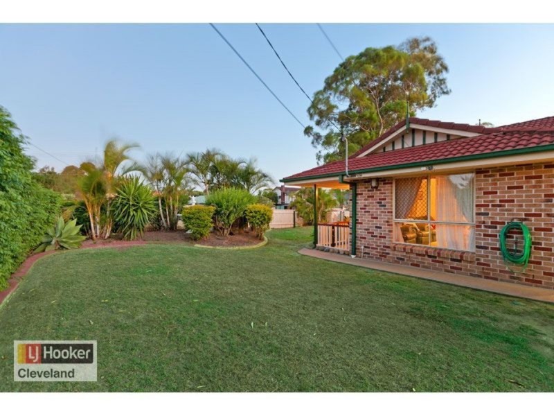33 Long Street, Cleveland QLD 4163