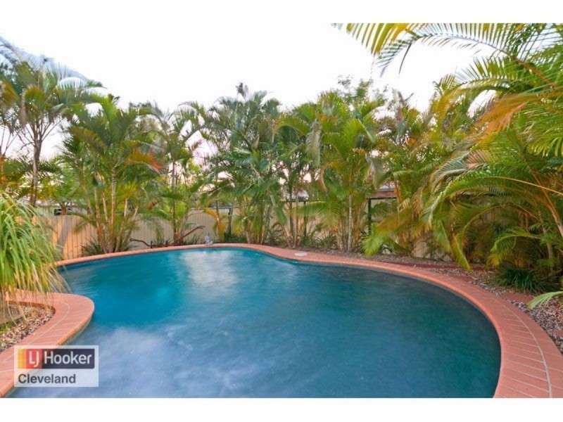 33 Long Street, Cleveland QLD 4163