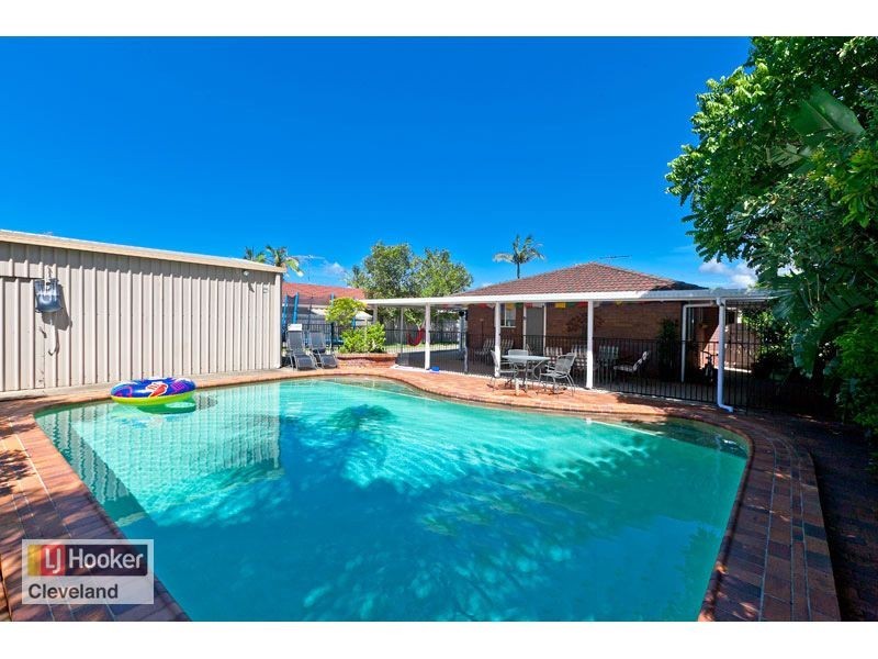 17 Kassandra Street, Cleveland QLD 4163