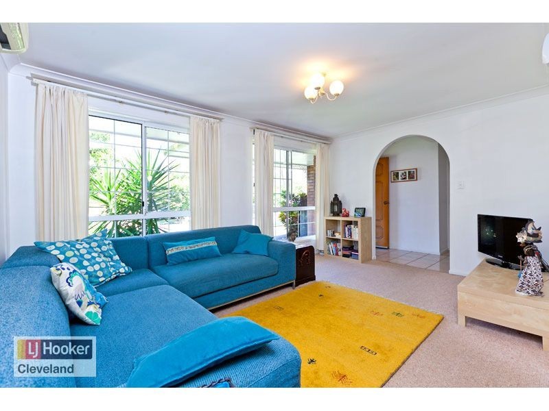 17 Kassandra Street, Cleveland QLD 4163