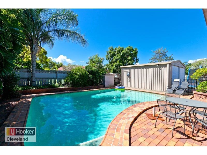 17 Kassandra Street, Cleveland QLD 4163