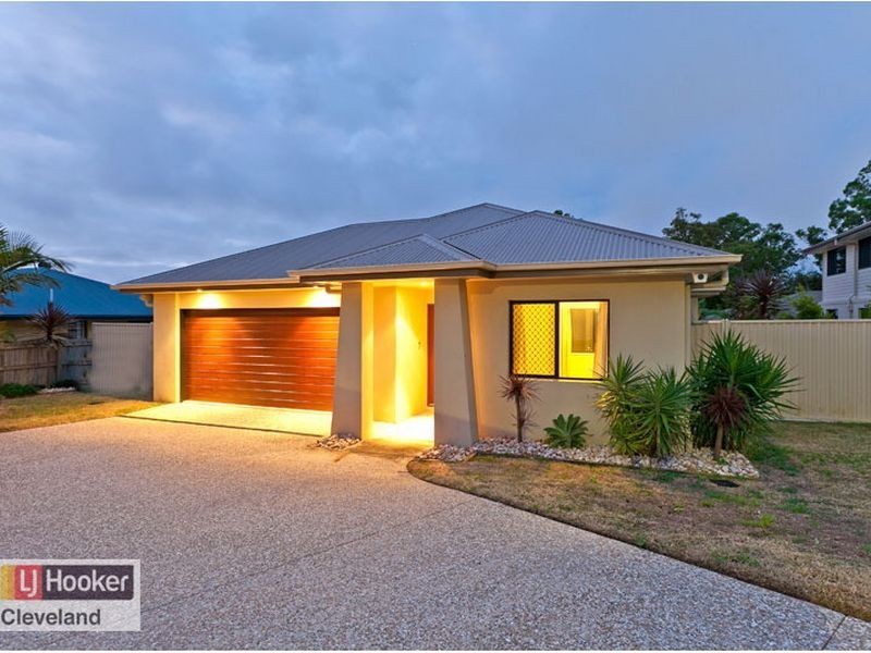 46 Ronnie Street, Cleveland QLD 4163