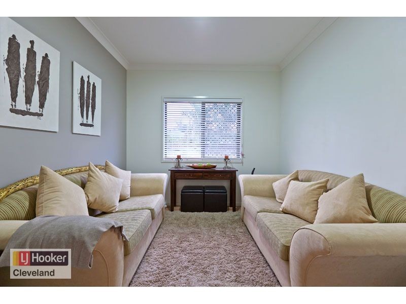 46 Ronnie Street, Cleveland QLD 4163