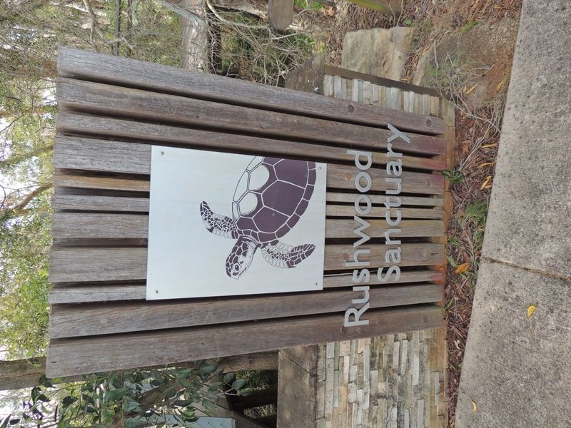 5 Truscot Place, Thornlands QLD 4164