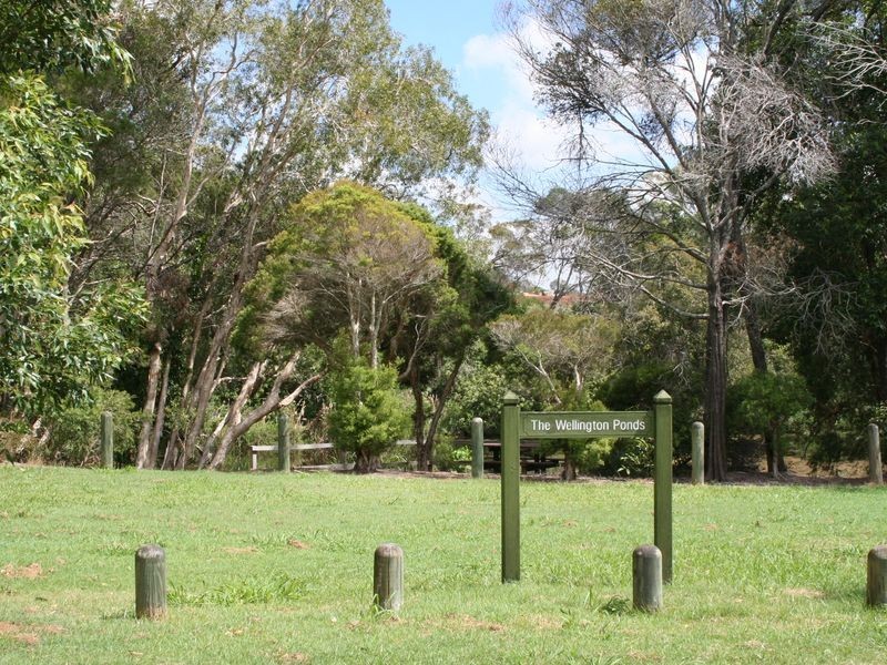 54 Lorikeet Drive (5 Nook Ct), Thornlands QLD 4164