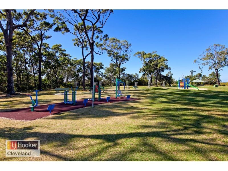 10 Coburg Street East, Cleveland QLD 4163