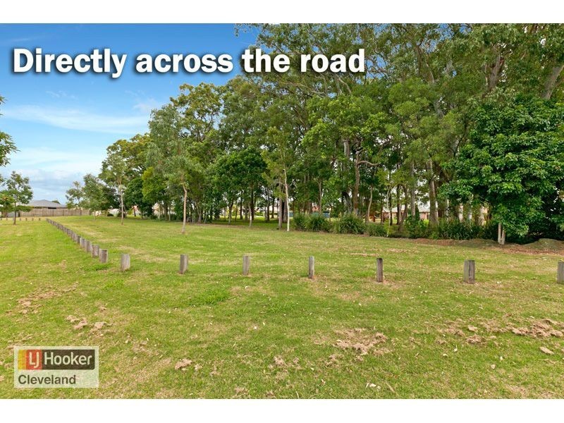 10 Liner Street, Wellington Point QLD 4160