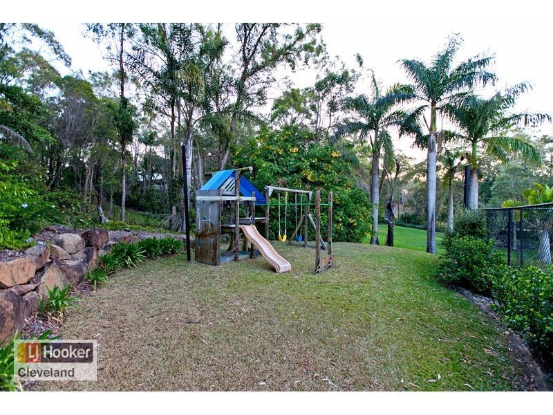 3 Dicameron Court, Thornlands QLD 4164