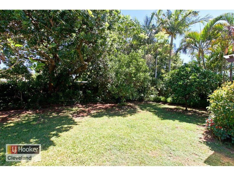 62 Channel Street, Cleveland QLD 4163