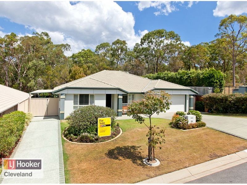20 Ronnie Street, Cleveland QLD 4163