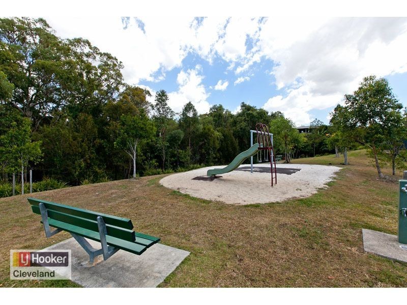 20 Ronnie Street, Cleveland QLD 4163