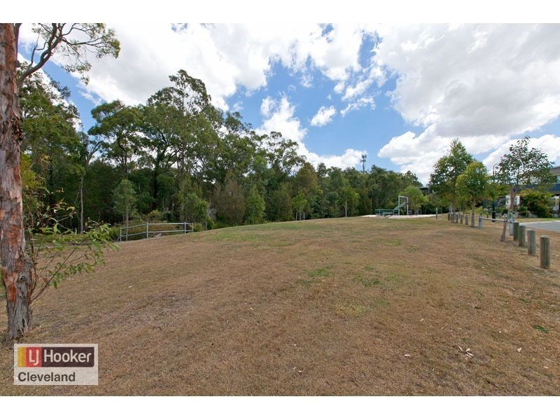 20 Ronnie Street, Cleveland QLD 4163