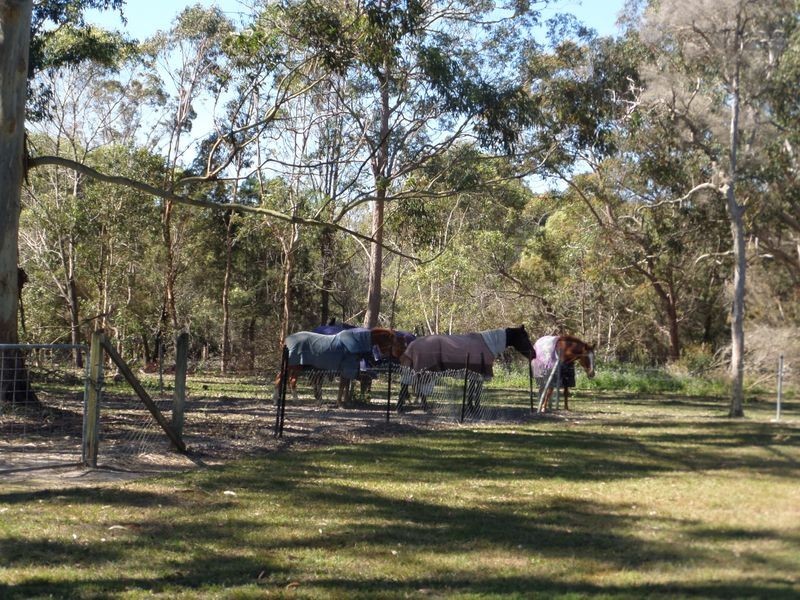 101 Warren Street, Mount Cotton QLD 4165