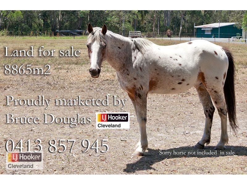 75 Beckwith Street, Ormiston QLD 4160