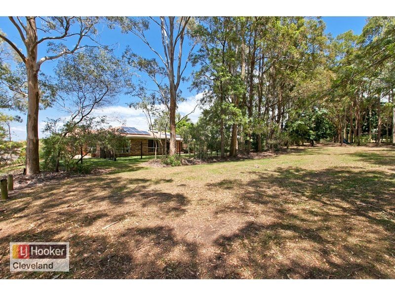 8 Janlaw Street, Cleveland QLD 4163