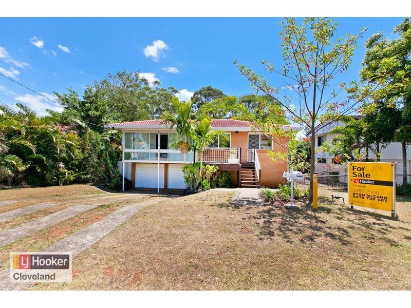 41 Drevesen Avenue, Cleveland QLD 4163