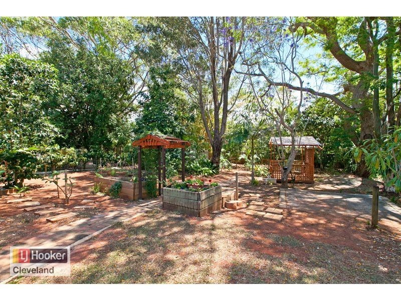 41 Drevesen Avenue, Cleveland QLD 4163