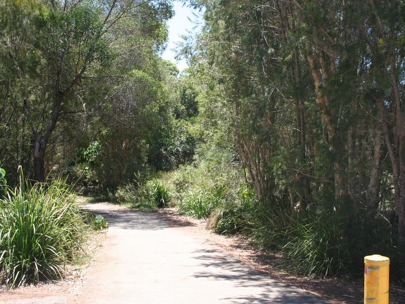 3 Starfish Court, Thornlands QLD 4164