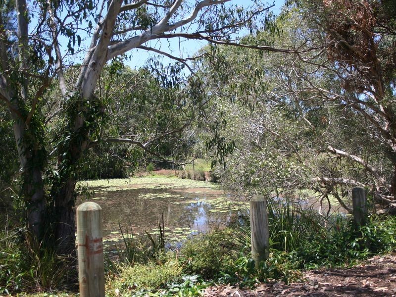 3 Starfish Court, Thornlands QLD 4164