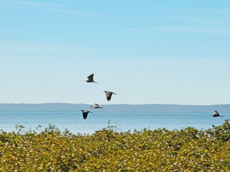 223 & 225 Main Road, Wellington Point QLD 4160