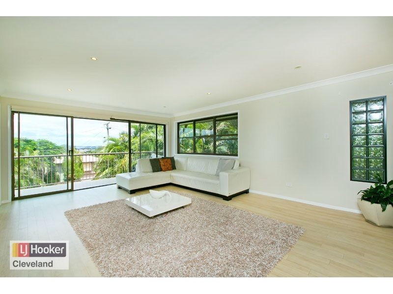 6 Tarina Street, Cleveland QLD 4163