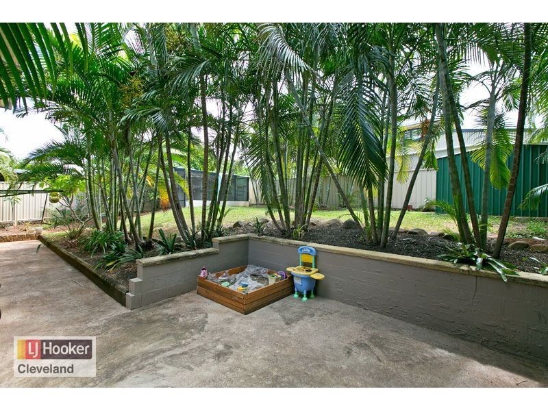 6 Tarina Street, Cleveland QLD 4163