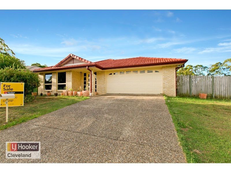 19 Adam Street, Cleveland QLD 4163