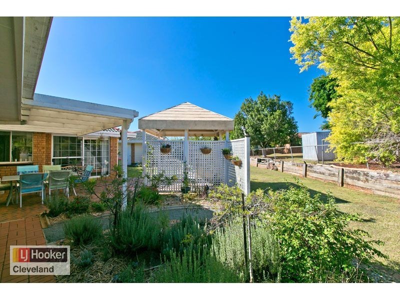 5 Swain Court, Cleveland QLD 4163