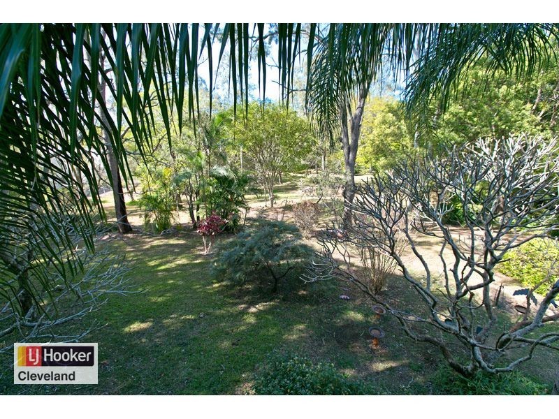 236 Queen Street, Cleveland QLD 4163