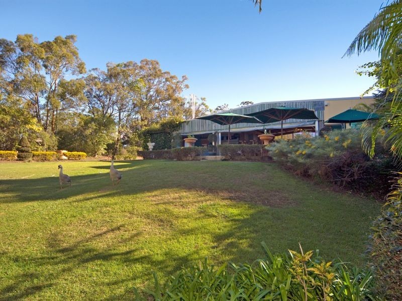 84 Kinross Road, Thornlands QLD 4164
