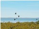 225 Main Road, Wellington Point QLD 4160