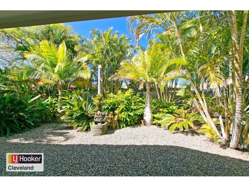 53 McLeod Street, Cleveland QLD 4163