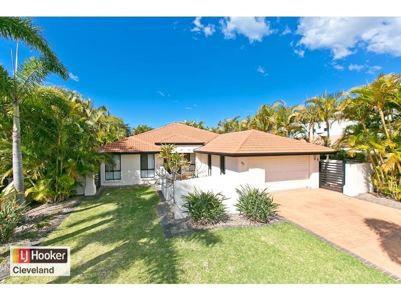 53 McLeod Street, Cleveland QLD 4163