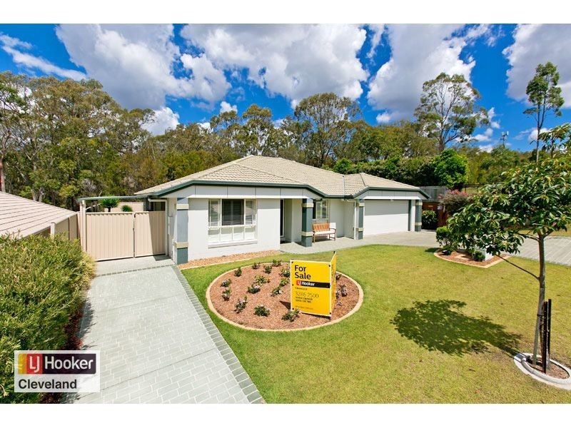 20 Ronnie Street, Cleveland QLD 4163