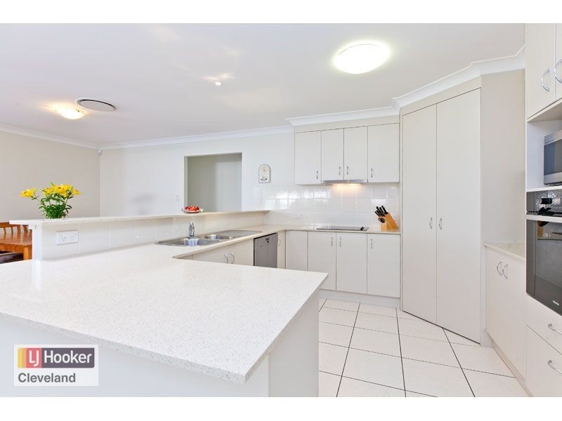 20 Ronnie Street, Cleveland QLD 4163