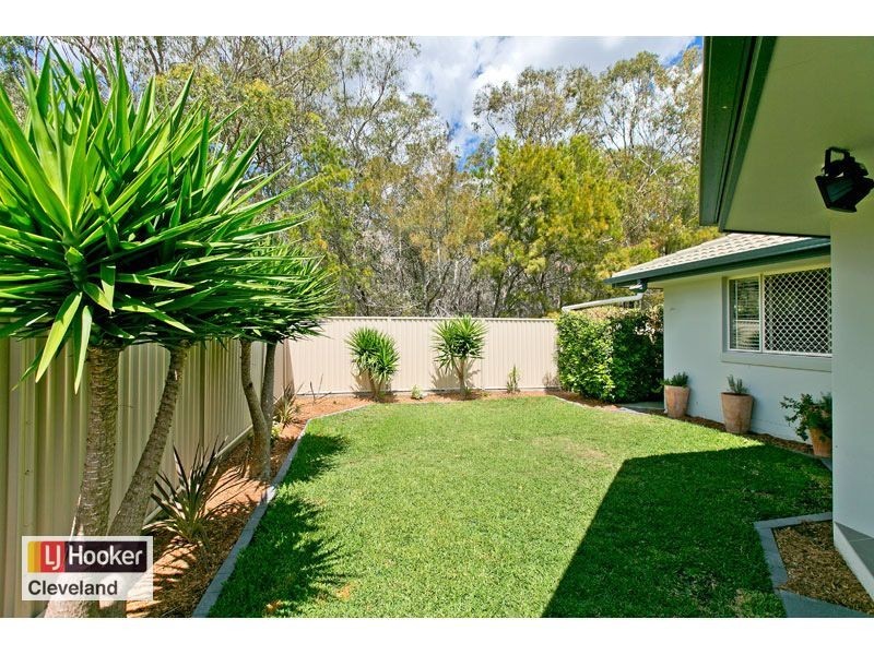 20 Ronnie Street, Cleveland QLD 4163