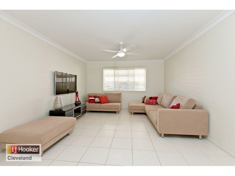 20 Ronnie Street, Cleveland QLD 4163