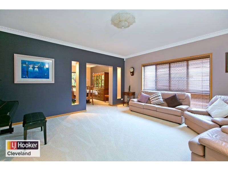 29 Omega Avenue, Cleveland QLD 4163