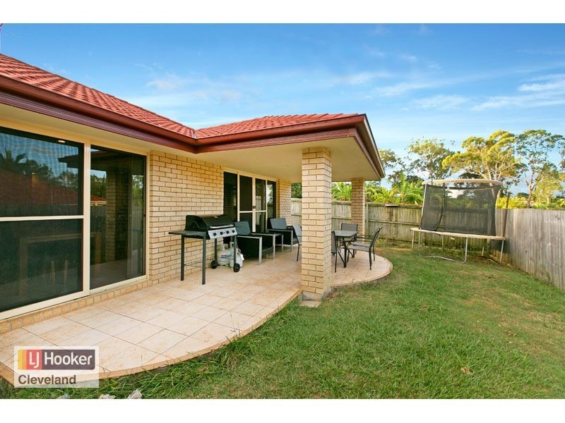 19 Adam Street, Cleveland QLD 4163
