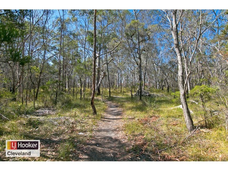 2 Pannosa Court, Capalaba QLD 4157