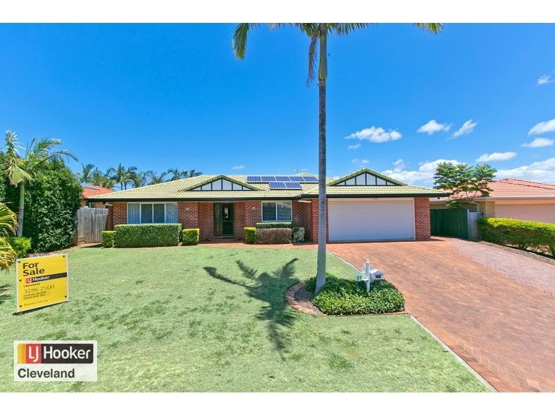 21 Omega Avenue, Cleveland QLD 4163