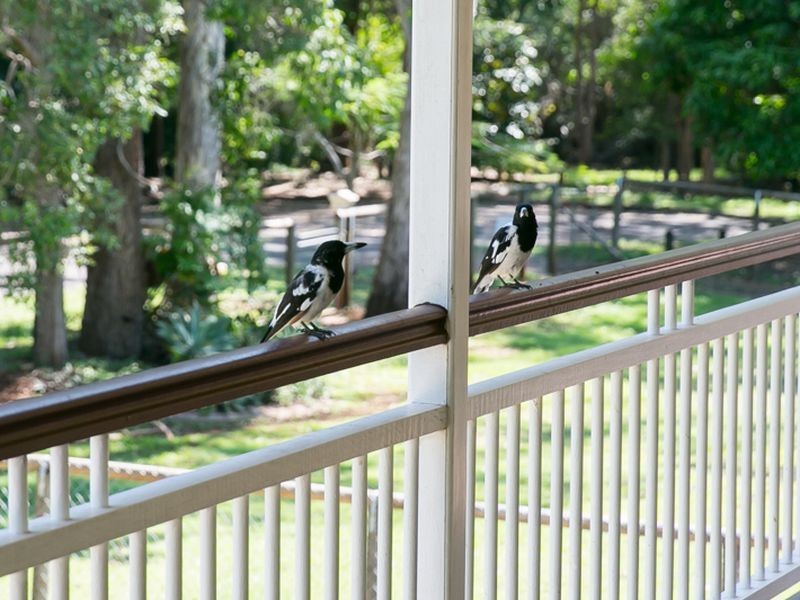 47 Hilliard Street, Ormiston QLD 4160