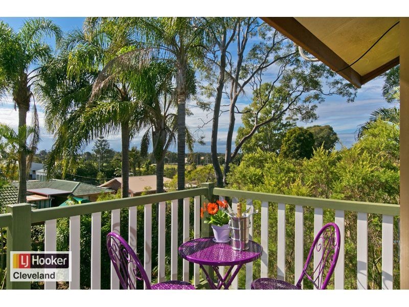 23 Topatig Street, Cleveland QLD 4163