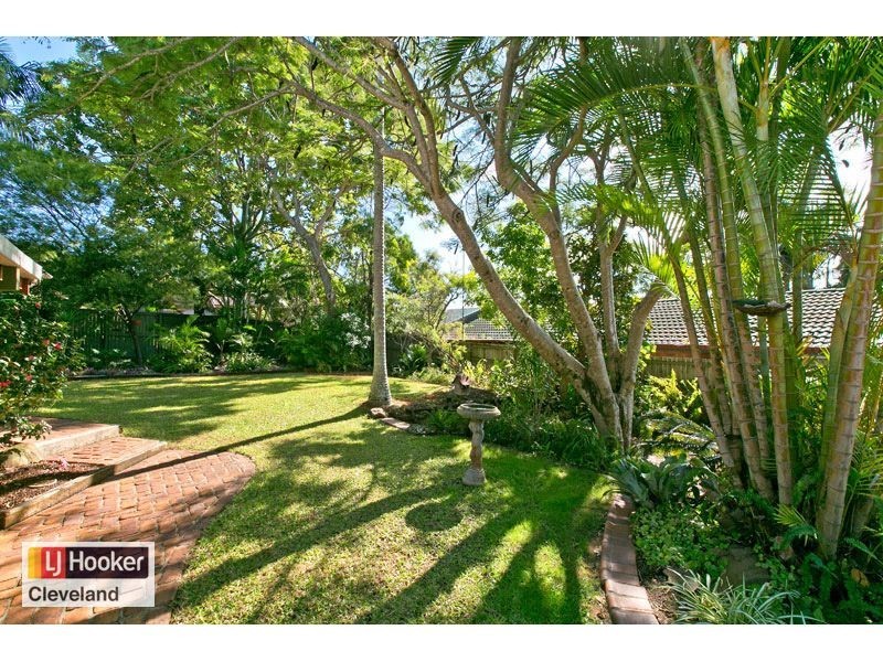 23 Topatig Street, Cleveland QLD 4163