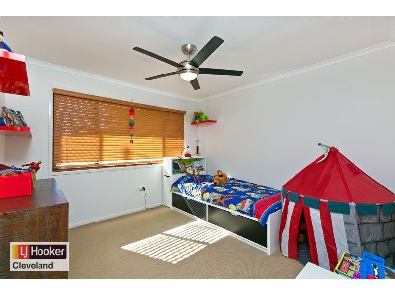 3 Danielle Street, Cleveland QLD 4163