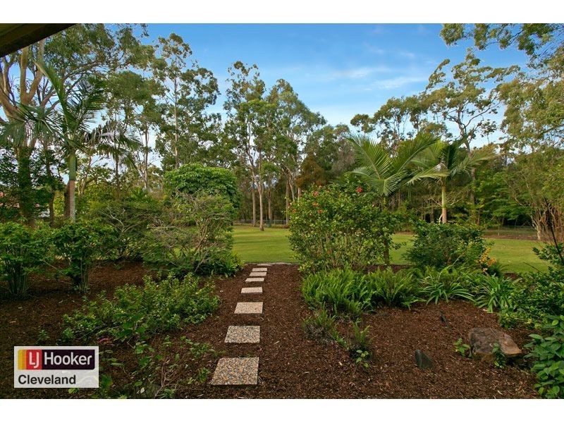 4 Petrel Court, Thornlands QLD 4164
